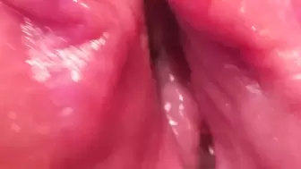WEBCAM INSIDE PUSSSSY